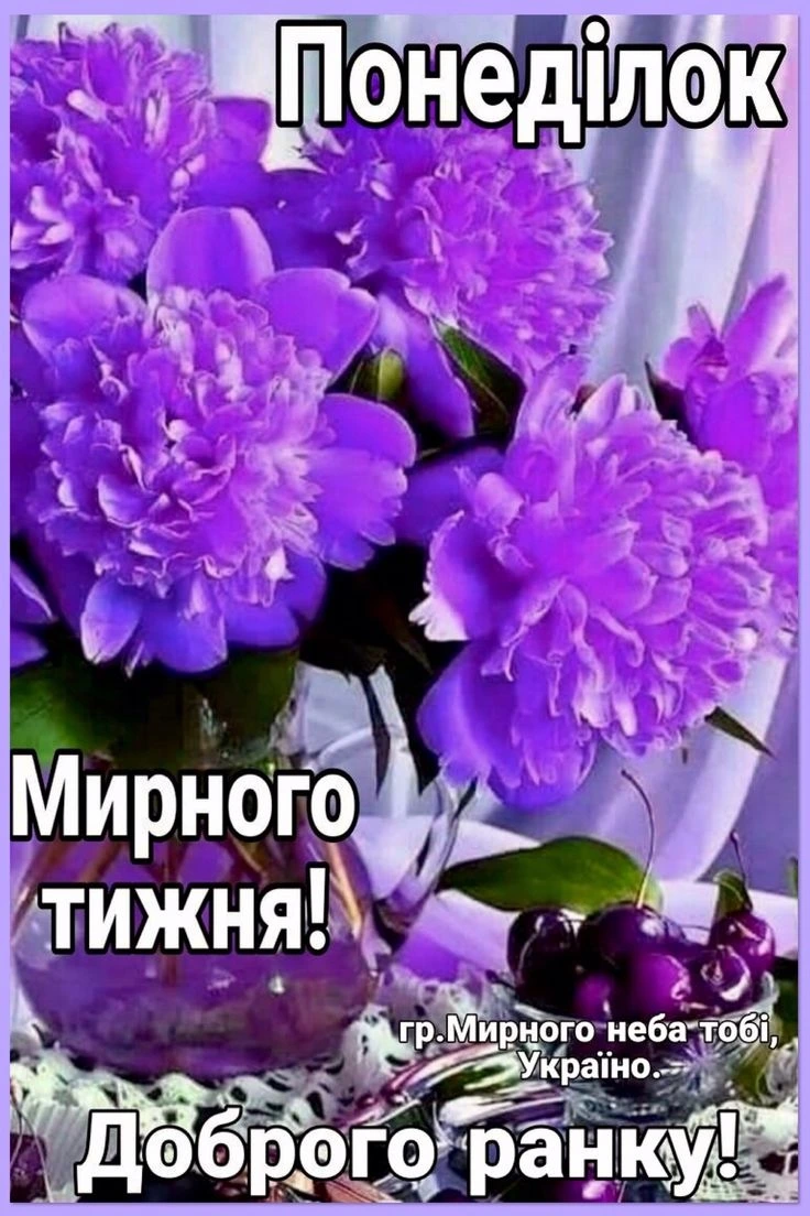 Пурпурні троянди та вишні з побажаннями мирного понеділка.