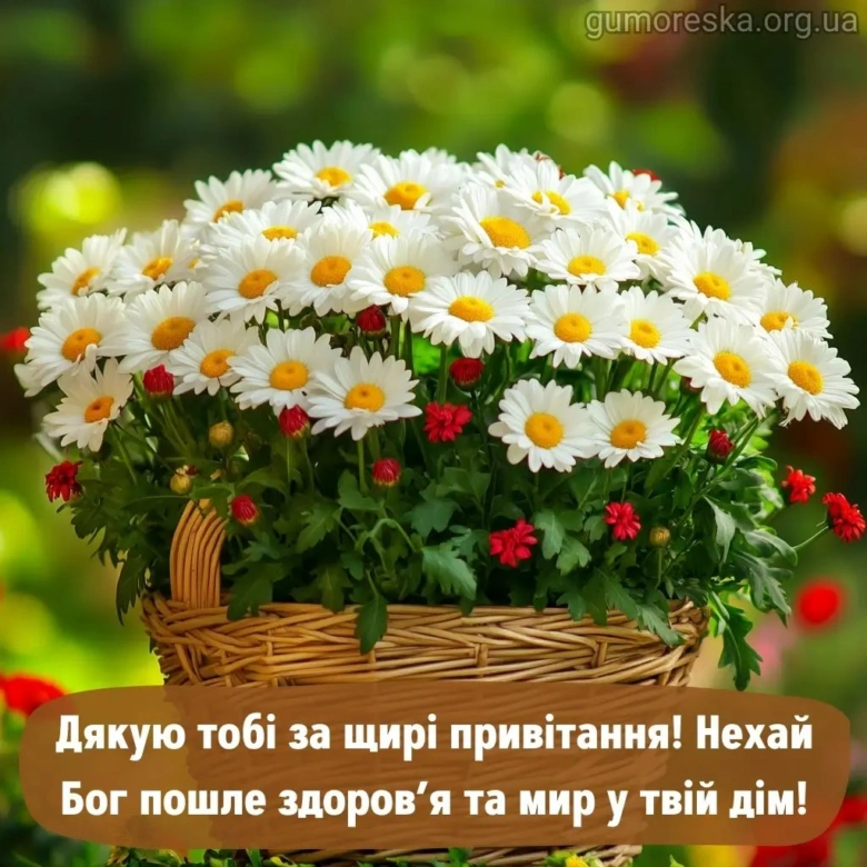 Корзина з білими ромашками та червоними квітами, український привітання.