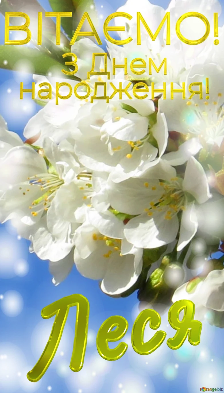 Привітання з днем народження Леся на фоні білих квітів