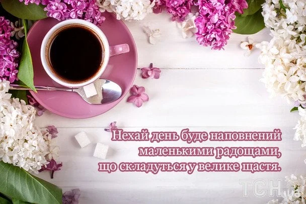 Кавуна чашка, фіолетові квіти та цукерки на дерев'яному столі.